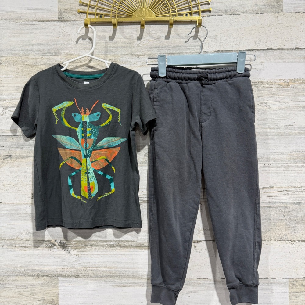 Tea Collection Zara Kids Outfit Size 6 Gray Mantis Tee Joggers Bugcore EUC